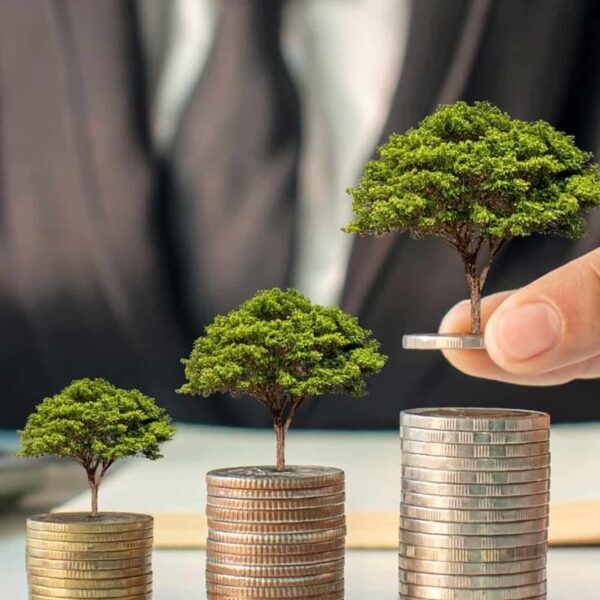 How to Reduce Your Carbon Footprint_ 17 Simple Tips